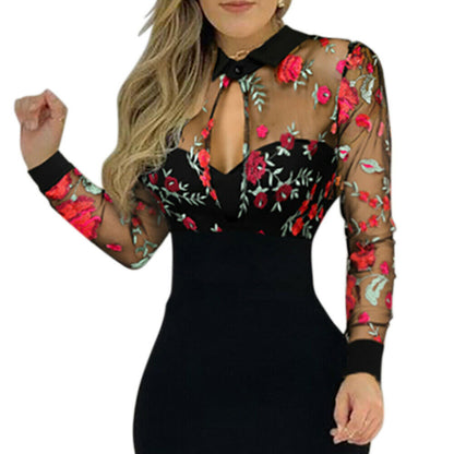 Lace Mesh Long Sleeve Bodycon Mini Dress