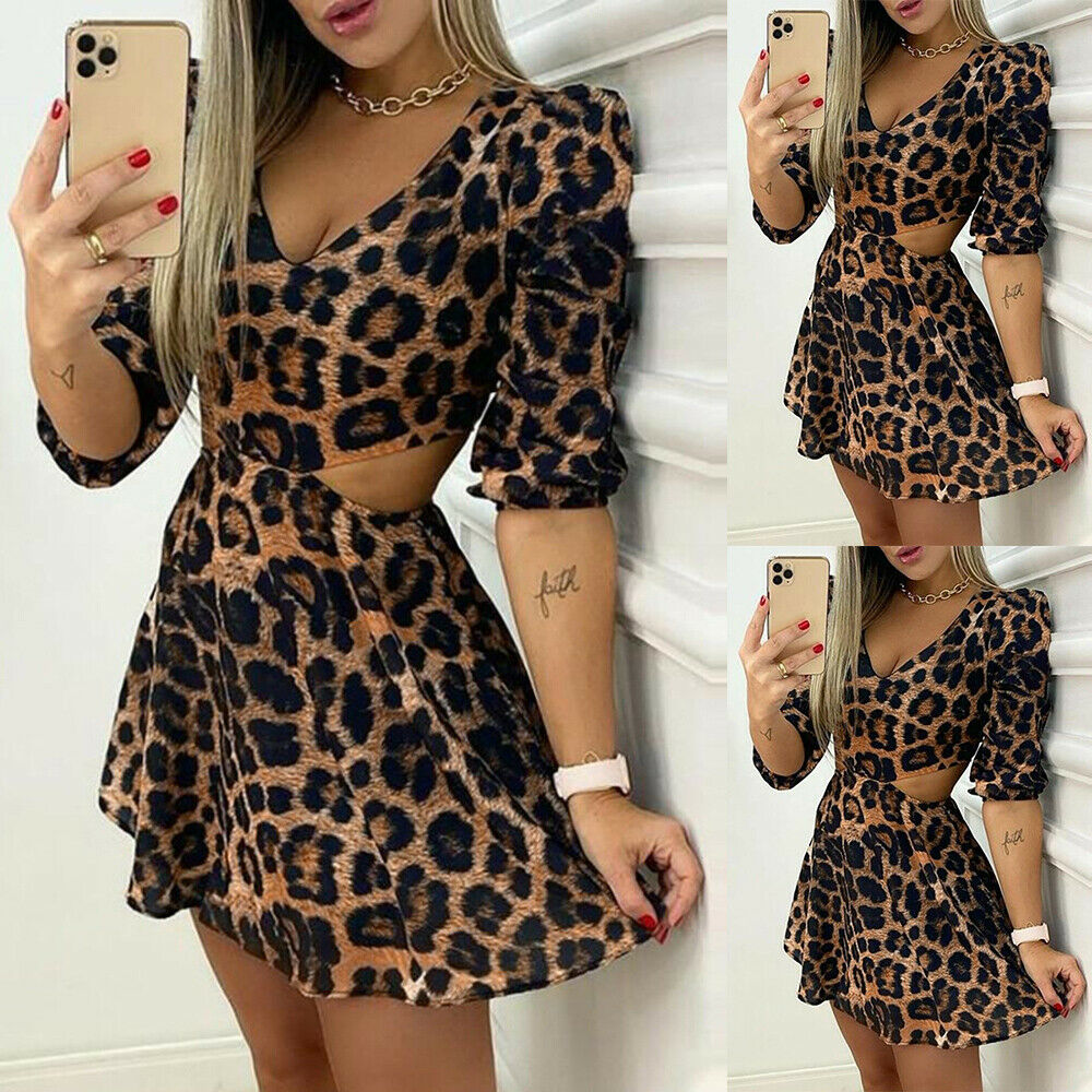 Leopard Print V Neck Mini Dress