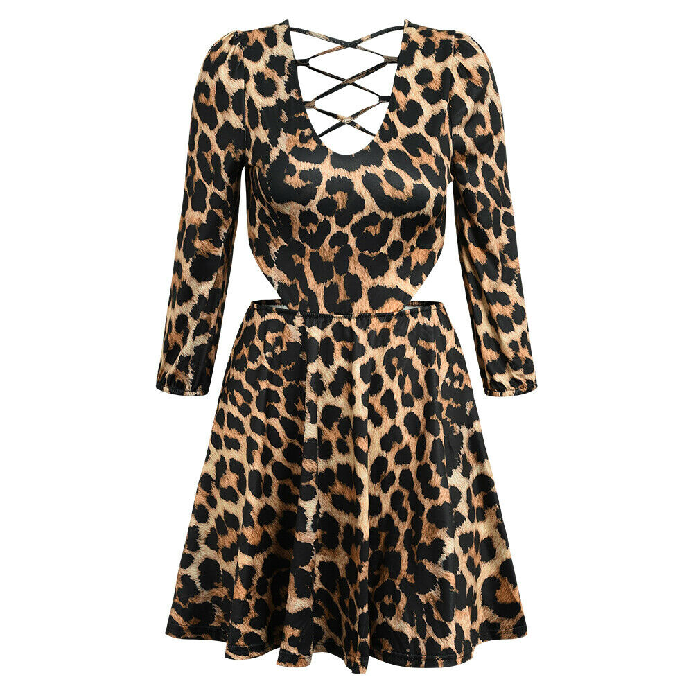 Leopard Print V Neck Mini Dress