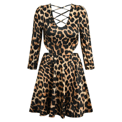 Leopard Print V Neck Mini Dress